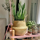 Cache Pot Osier <br>Grande Taille