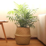 Cache Pot Osier <br>Grande Taille