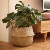 Cache Pot Osier <br>Grande Taille